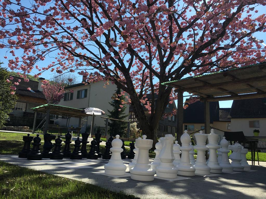 Ferienhotel Bodensee Berlingen Dış mekan fotoğraf